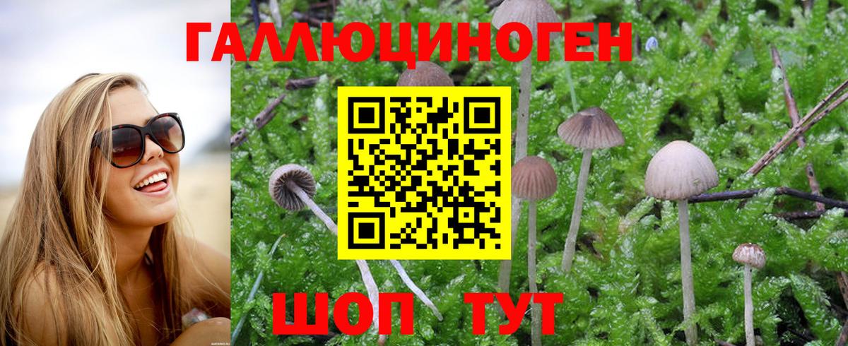 Псилоцибиновые грибы Magic Shrooms Большой Камень
